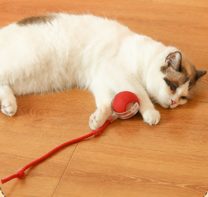 Interactive Rolling Ball Cat Toy, USB Rechargeable