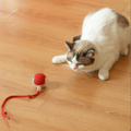 Interactive Rolling Ball Cat Toy, USB Rechargeable