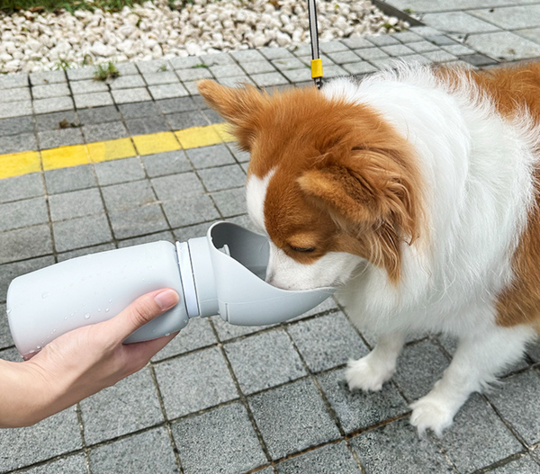 Large Capacity Portable Dog Water Bottle - One-Hand Operation, Leak-Proof Travel Bow 550ml