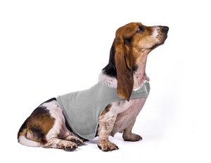 Reflective Dog Calming Vest, Adjustable Anxiety Shirt with Velcro for Night Walks