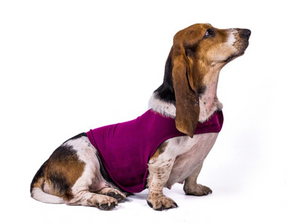 Reflective Dog Calming Vest, Adjustable Anxiety Shirt with Velcro for Night Walks