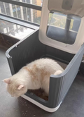 Large Smart Self-Cleaning Litter Box with UV Sterilization & Auto-Deodorizer - Extra Large Capacity