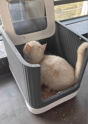 Large Smart Self-Cleaning Litter Box with UV Sterilization & Auto-Deodorizer - Extra Large Capacity