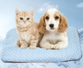 2-in-1 All-Season Pet Cooling & Warming Bed – Removable & Washable Therapeutic Mat for Dogs & Cats